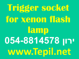 trigger socket for xenon flash lamp