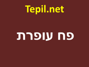 פח עופרת | שיווק פח עופרת בישראל