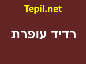 רדיד עופרת | רדידי עופרת למיגון קרינה