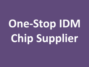 One-Stop IDM Chip Supplier