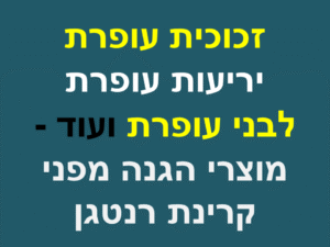 זכוכית עופרת, יריעות עופרת, לבני עופרת ועוד - מוצרי הגנה מפני קרינת רנטגן